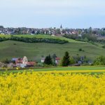 Wort zur Woche vom 02.05.2022 – Bezeugen