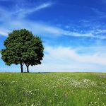 Wort zur Woche vom 27.07.2020 – Gott macht keinen Urlaub