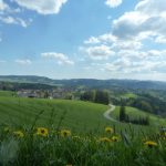 Wort zur Woche vom 14.03.2022 – Richtungsgeber