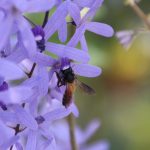 Wort zur Woche Vom 23.05.2022 – Das bringt mich zum Staunen